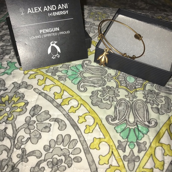 Alex and Ani bracelet - Picture 3 of 3